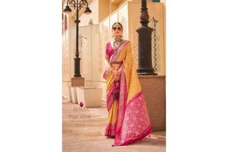 Shagun Patola By Rewaa (8)